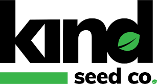 The Ultimate Guide to Marijuana Seeds 4 The Ultimate Guide to Marijuana Seeds 4